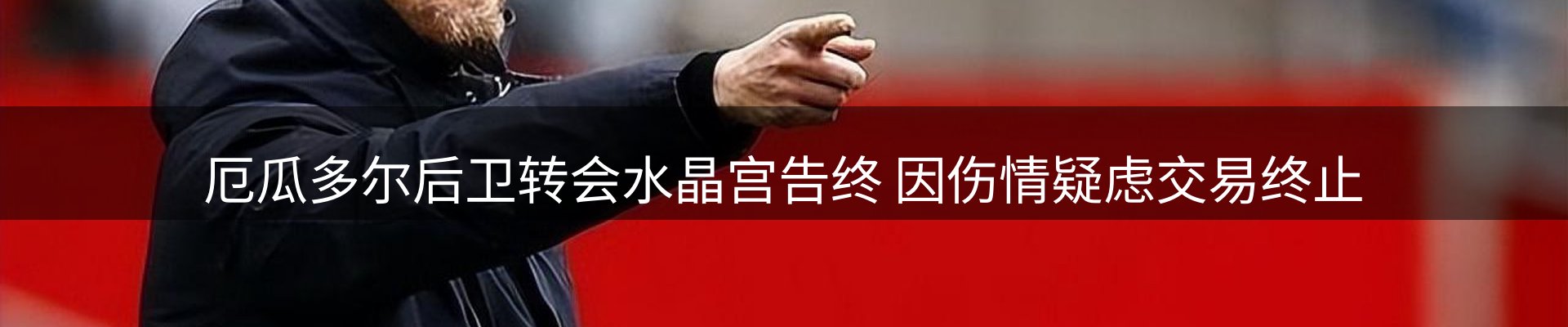 行业导读